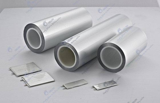 Litio laminato di alluminio Ion Battery Equipment della cassa delle cellule del sacchetto di Flim
