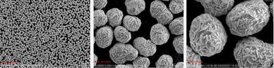 Precursore materiale del precursore NMC dell'ossido di cobalto del manganese del nichel del litio del catodo della batteria