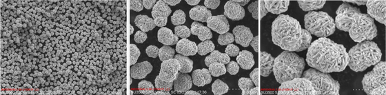 Precursore materiale del precursore NMC dell'ossido di cobalto del manganese del nichel del litio del catodo della batteria